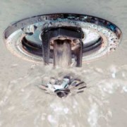 Fire sprinkler with water