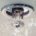 Fire sprinkler with water